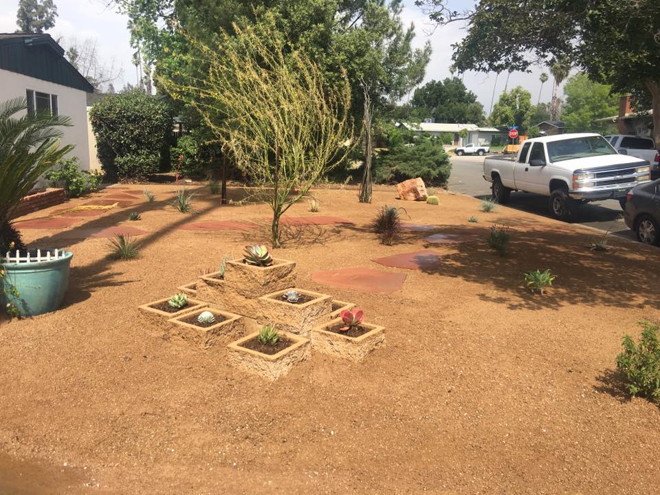 Drought Tolerant Designs and Installations